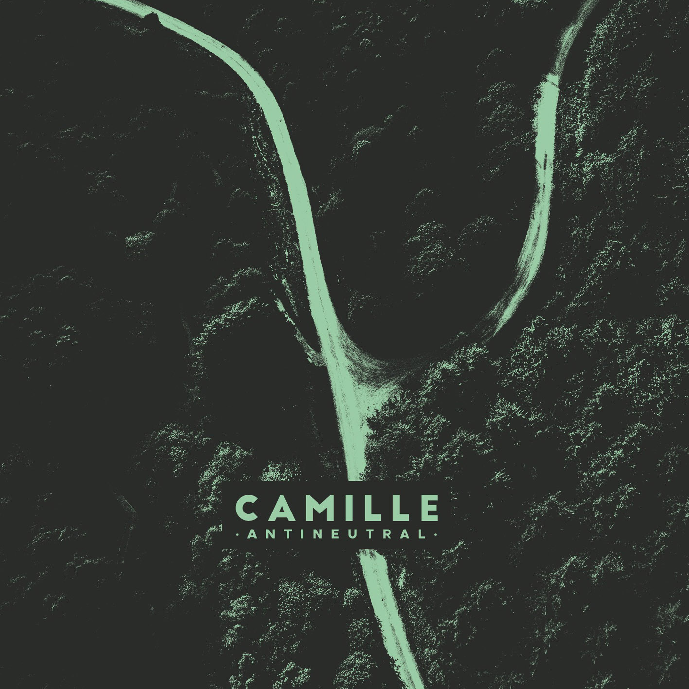 CAMILLE – ANTINEUTRAL